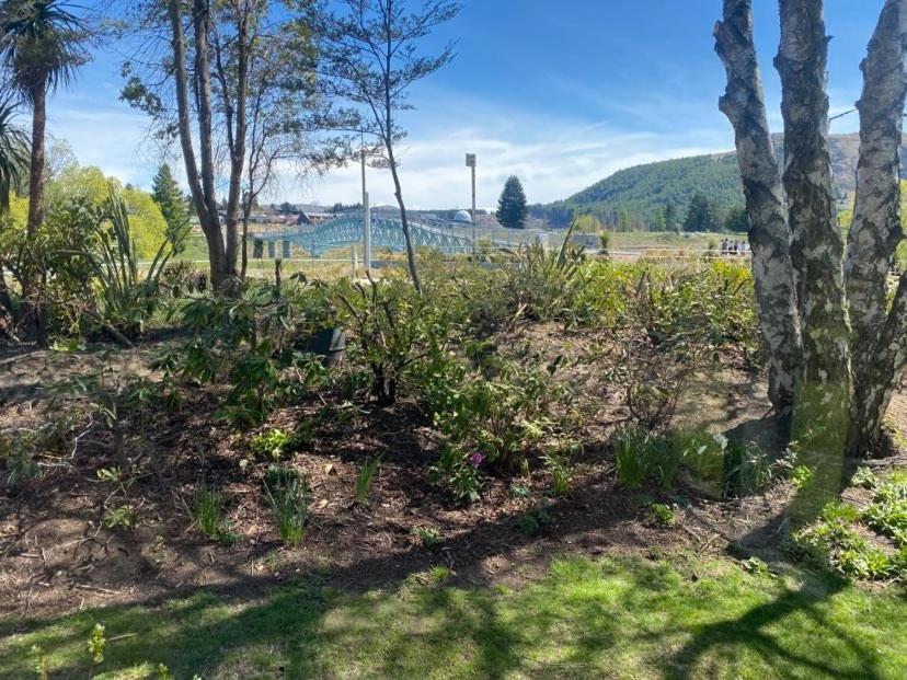 Garden Cottage - Lake Tekapo Dış mekan fotoğraf